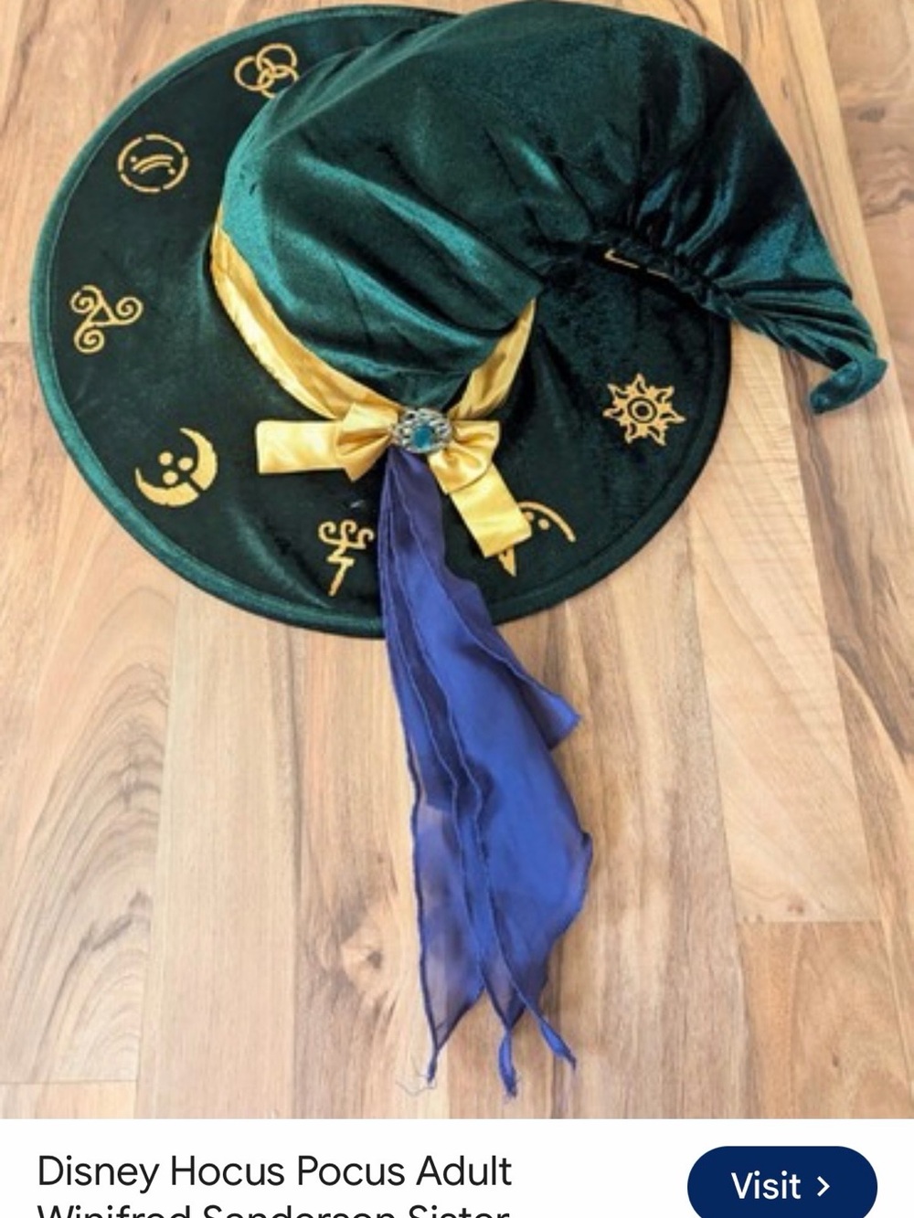 Disney Hocus Pocus Green Witch Hat with Gold Trim and Purple Sash